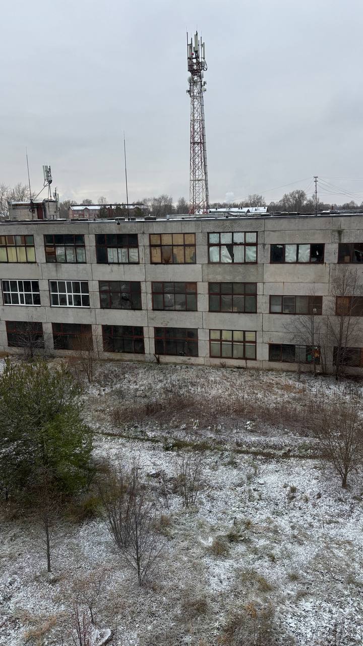 Жизнь и мечты беременной женщины