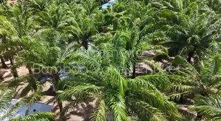 Инвестиции и жизнь в экокомплексе