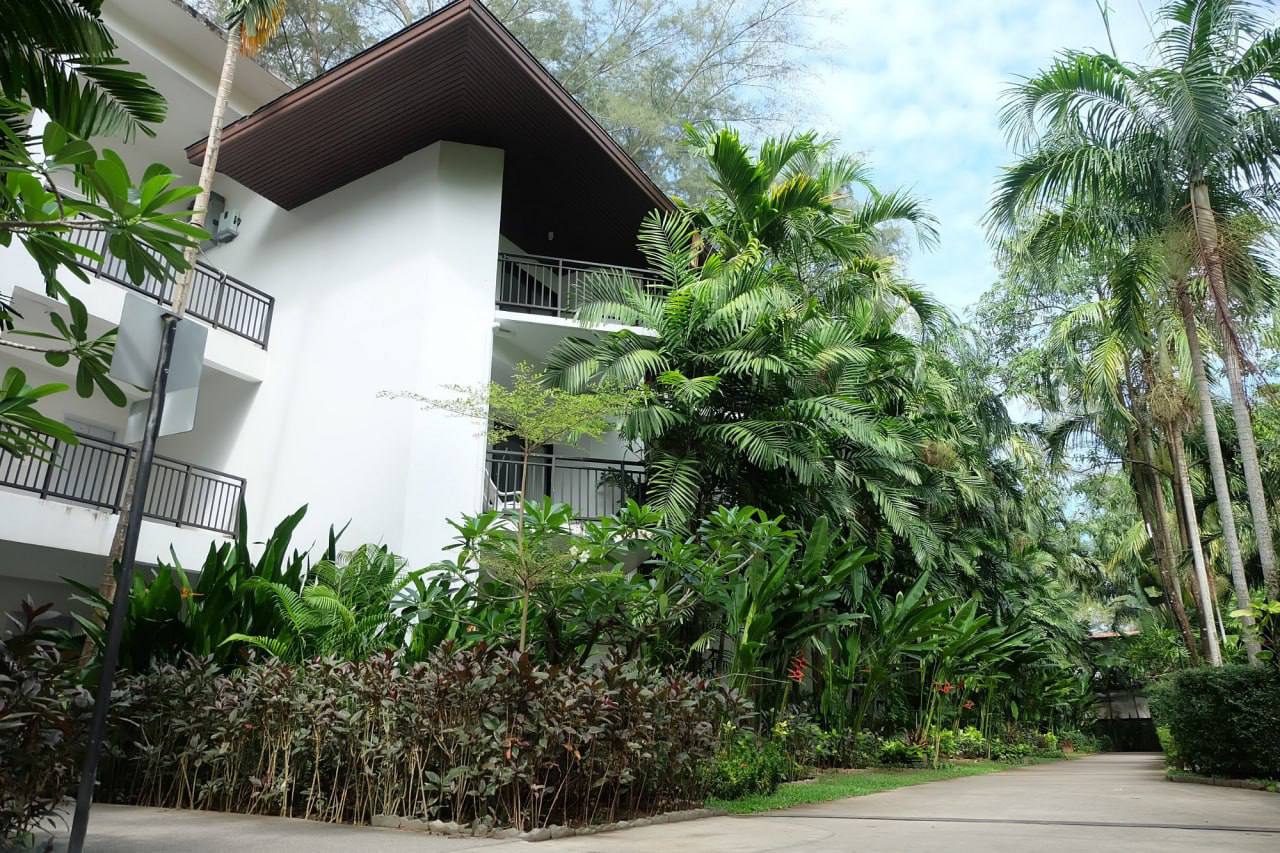 Инцидент с коброй в отеле на Пхукете