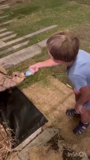 Профессиональная няня на Пхукете