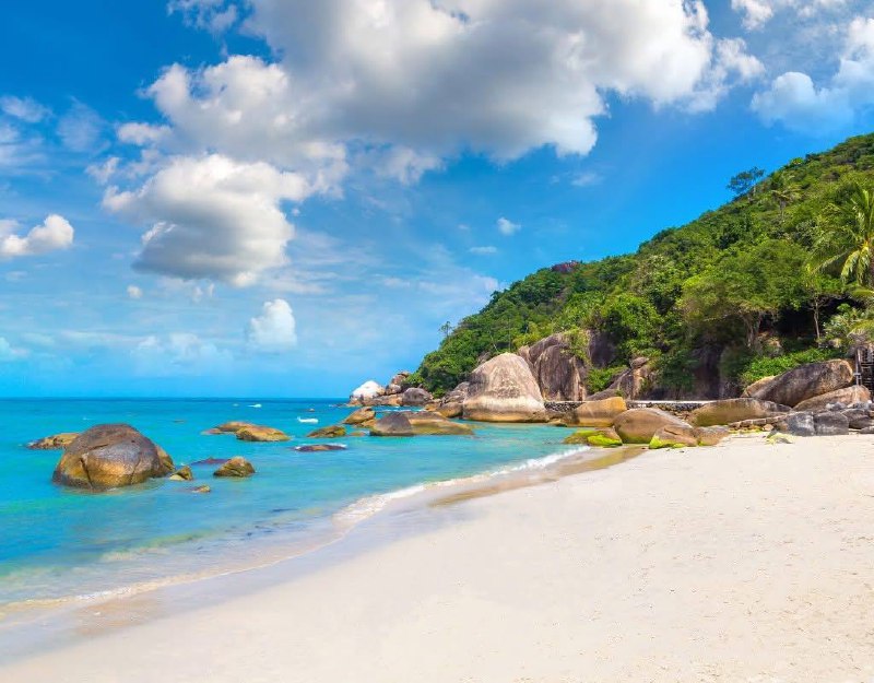 Идеальный тропический отдых на Самуи