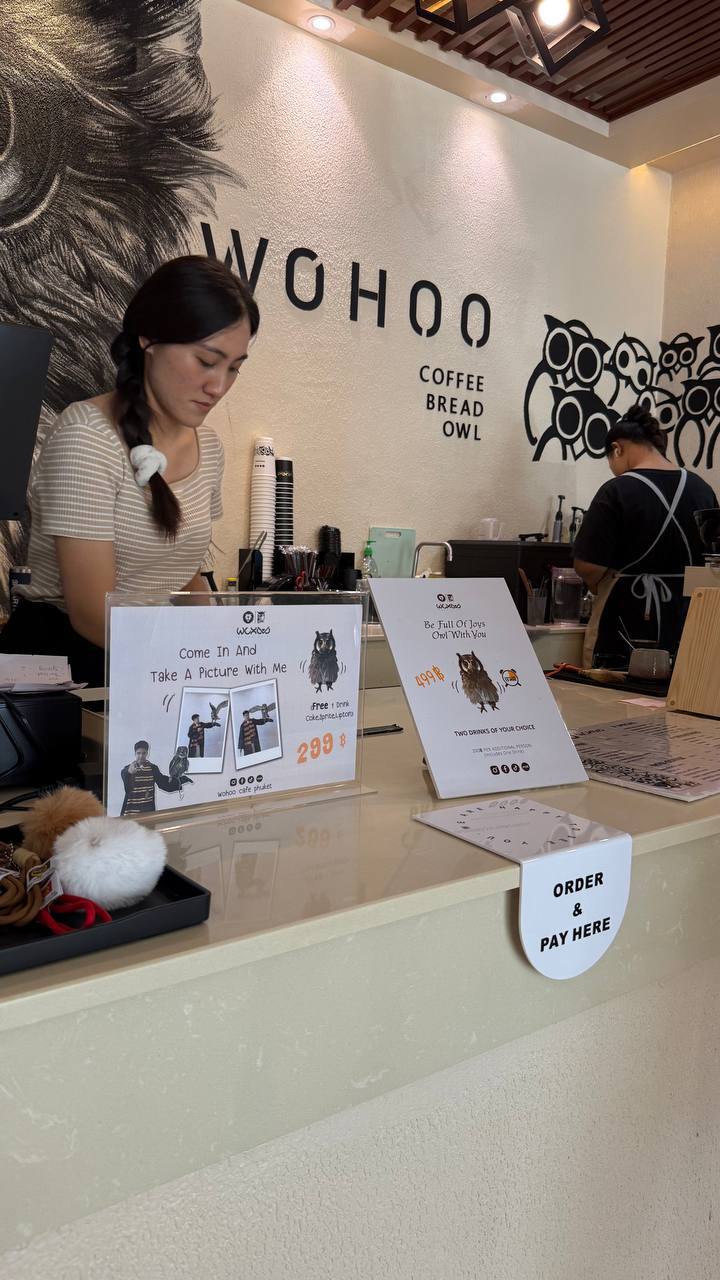 Уникальное совиное кафе в Пхукете