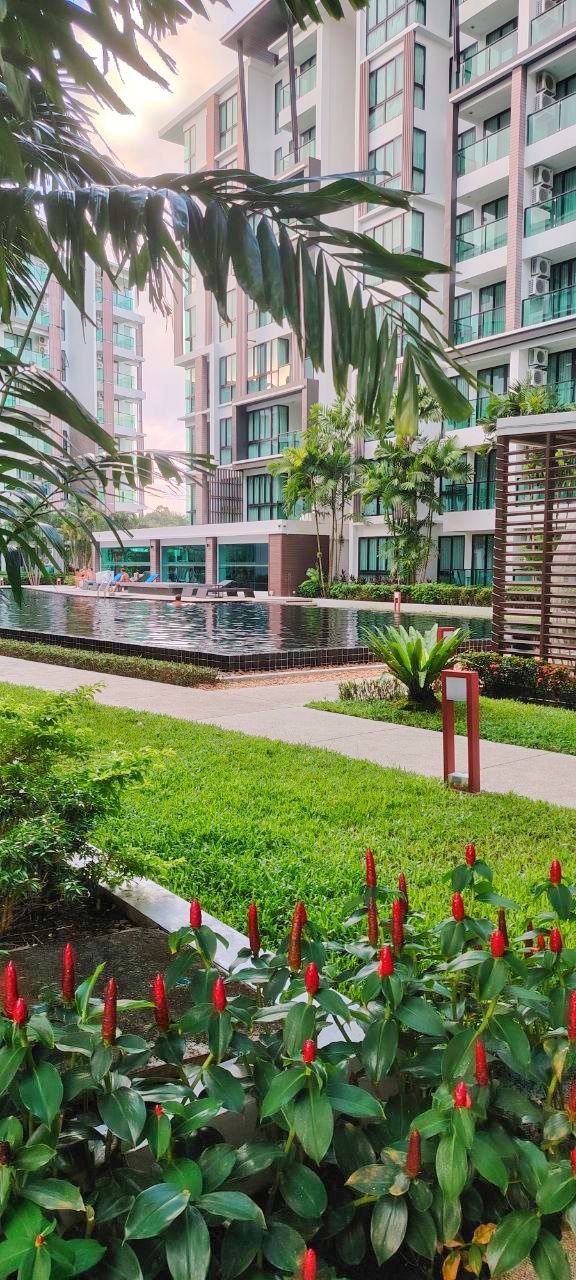 Доска объявлений в Таиланде