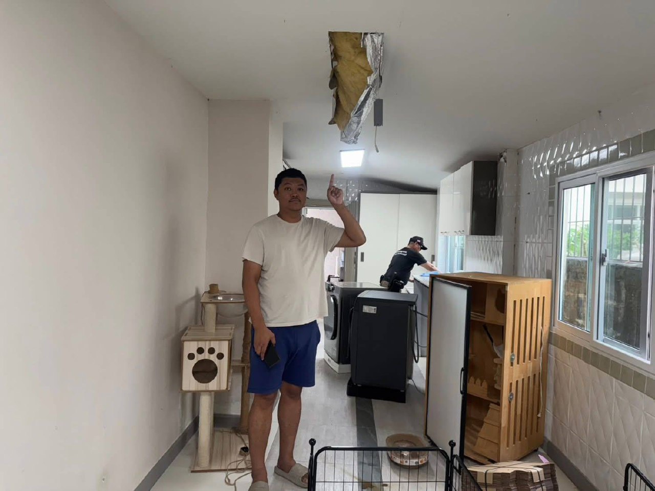 Питон атаковал котенка в Таиланде