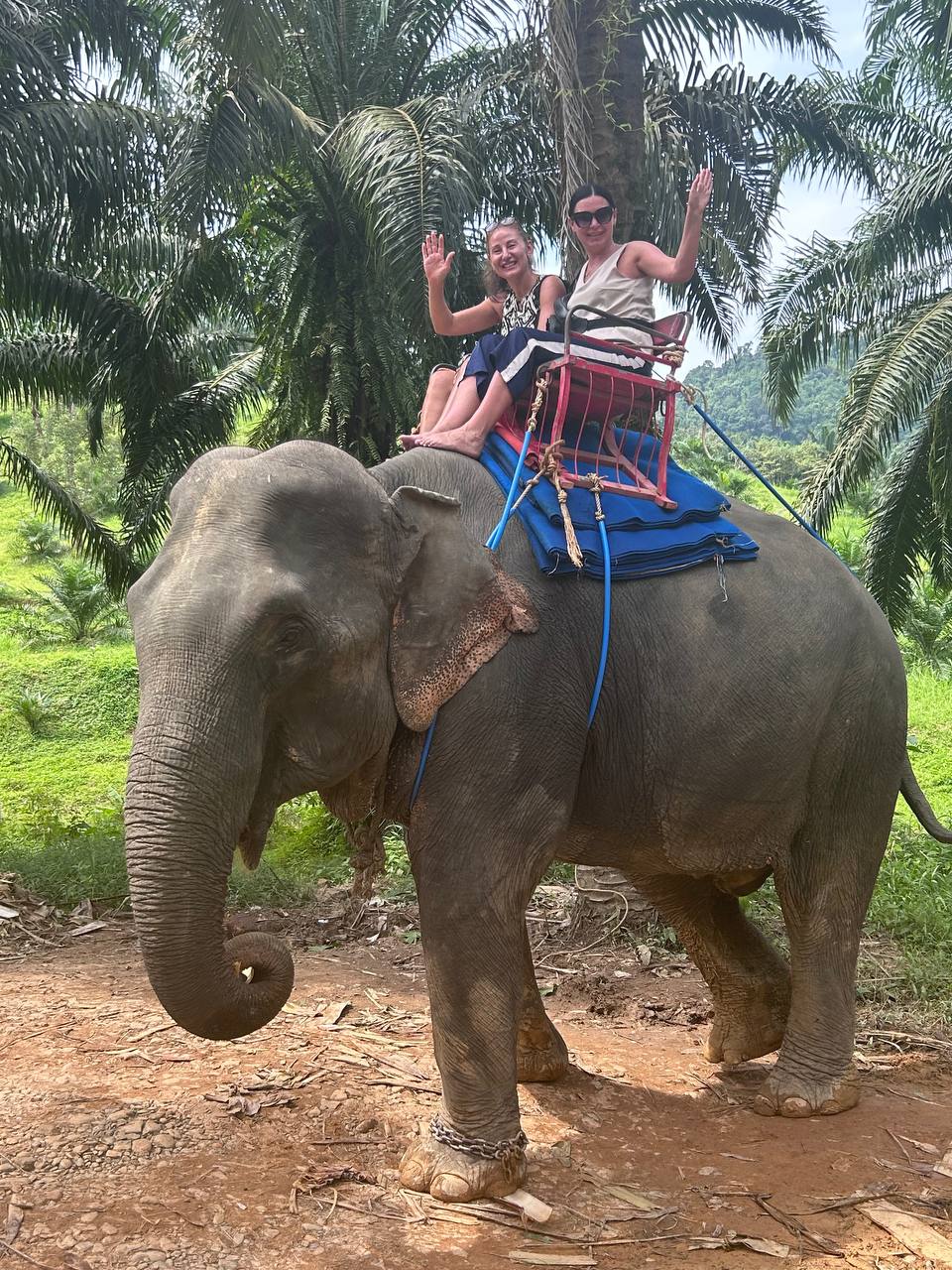 Отзыв о экскурсии као лак