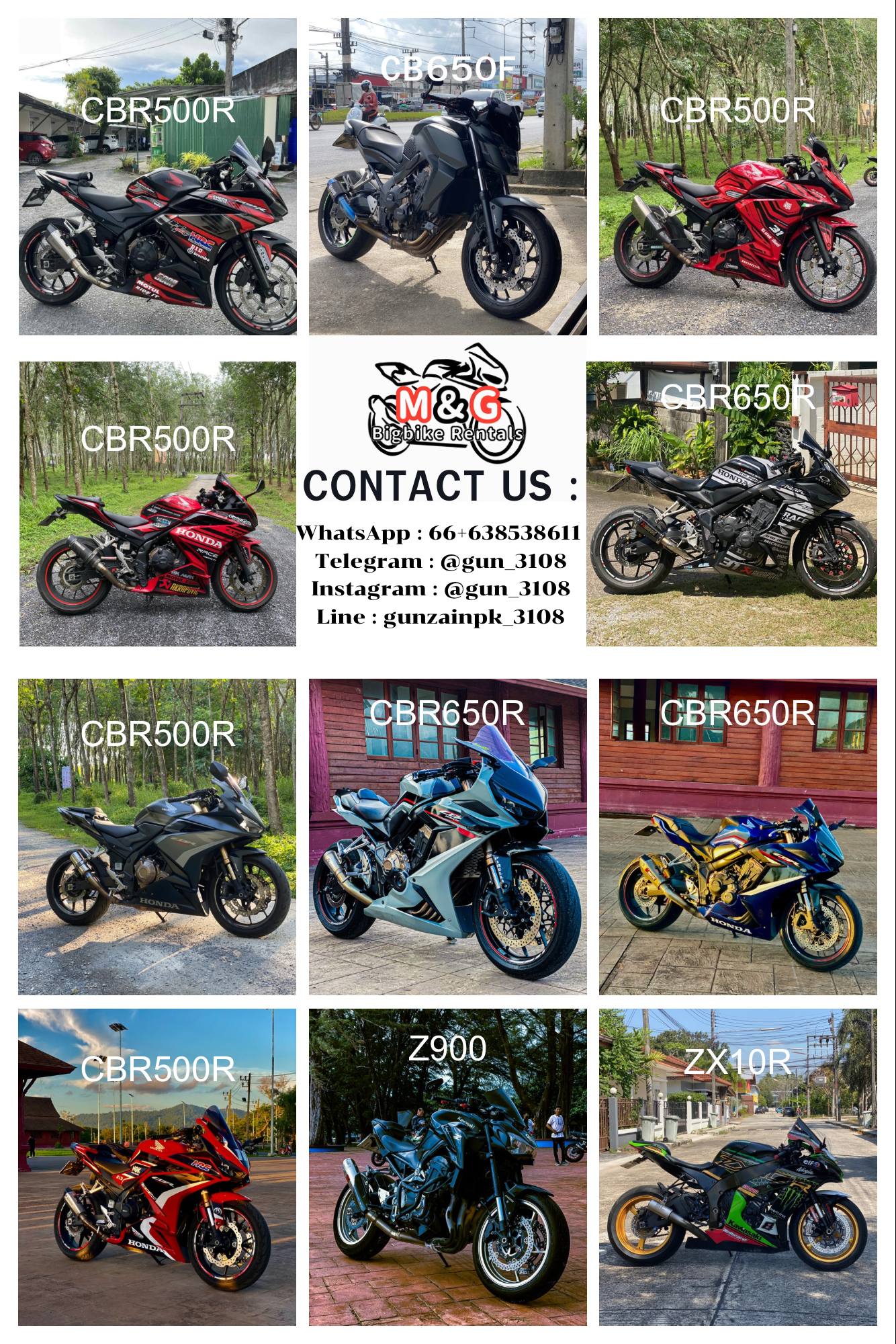 Аренда больших велосипедов