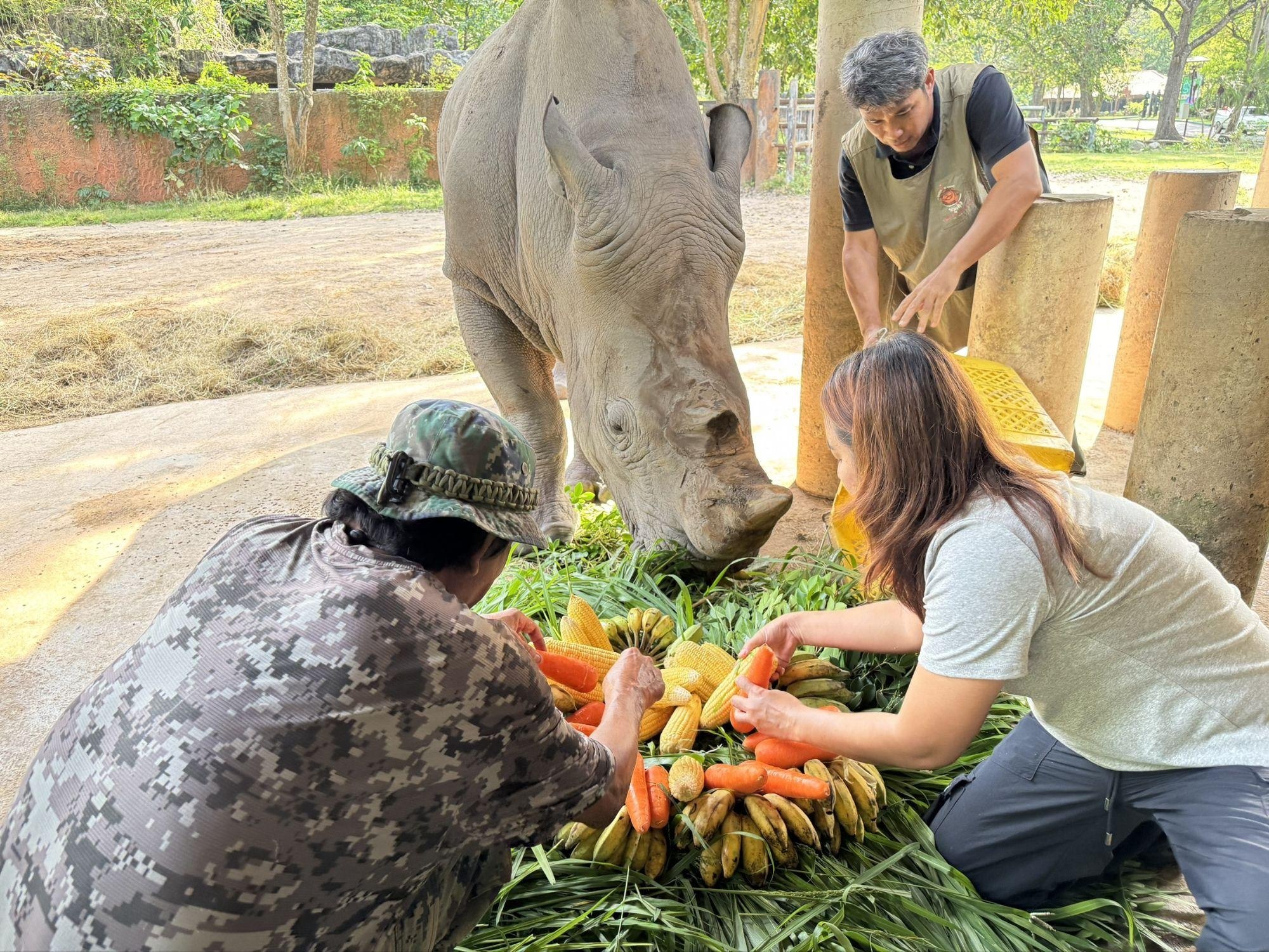 День рождения белого носорога в Таиланде