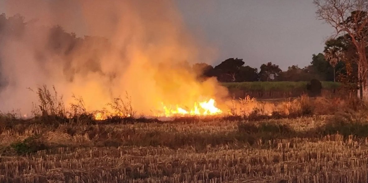 Смог в Таиланде достигает критических уровней