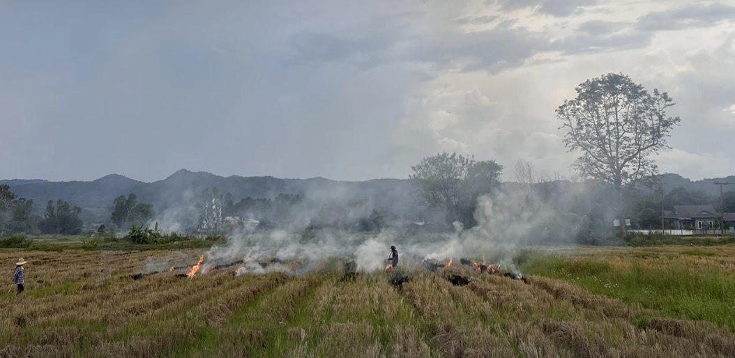 Смог в Таиланде достигает критических уровней