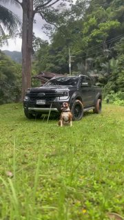 Аренда нового поколения внедорожника