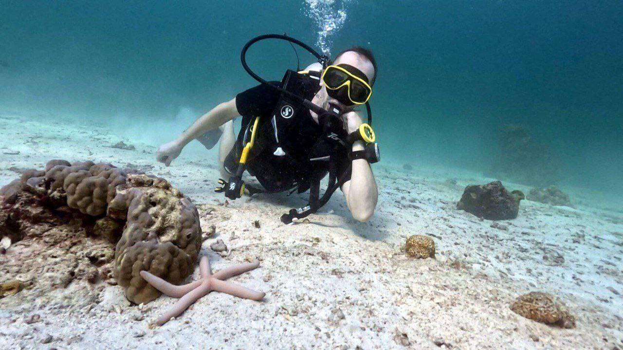 Дайвинг и морские туры