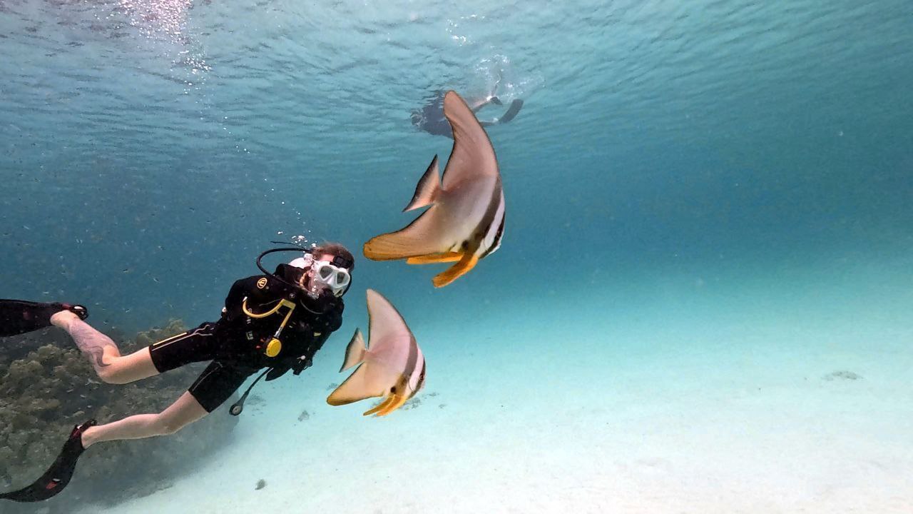 Дайвинг и морские туры