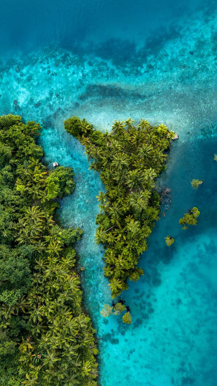 Определение счастья путешественников