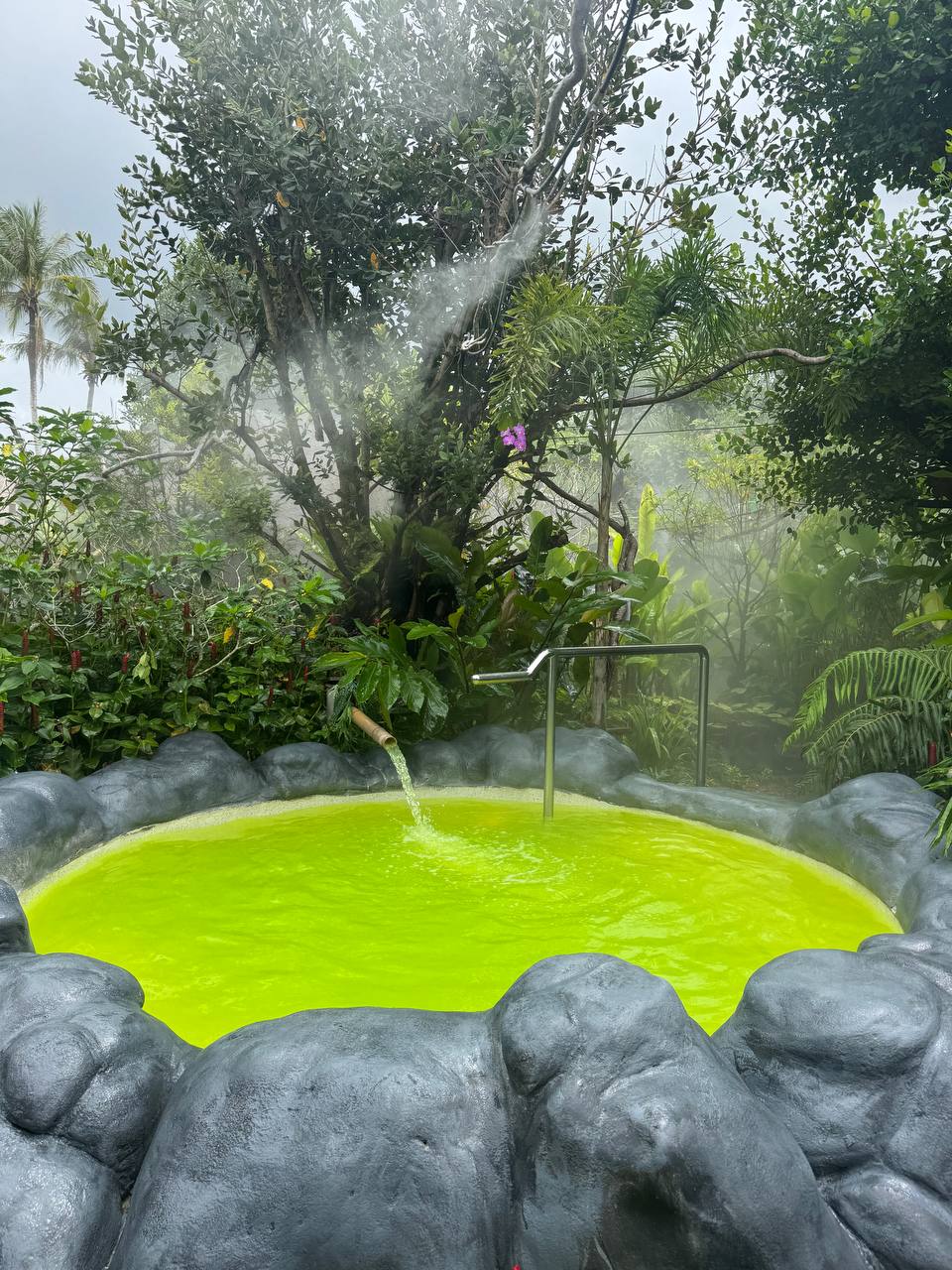 Тропический оазис для перезагрузки