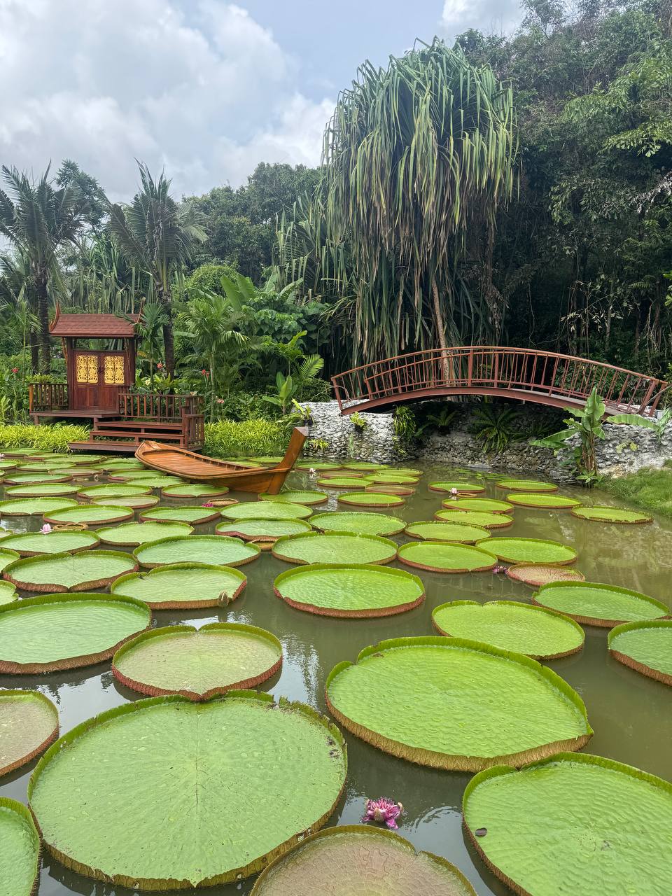Тропический оазис для перезагрузки