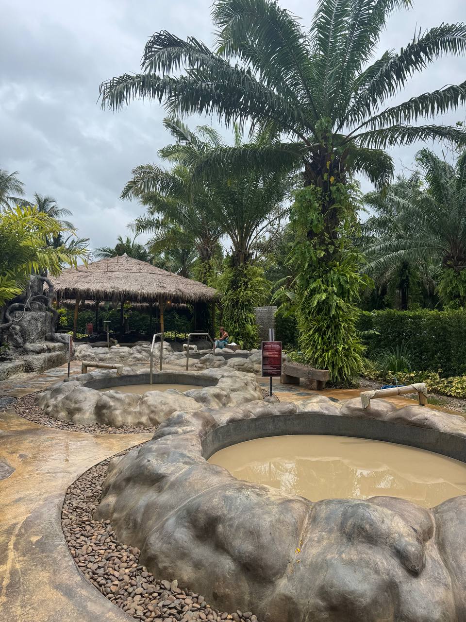 Тропический оазис для перезагрузки