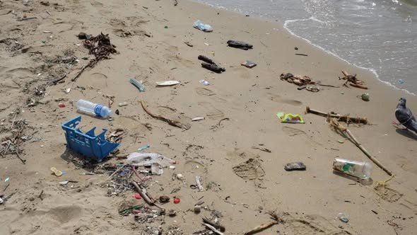 Паттайя очищает пляжи после дождей