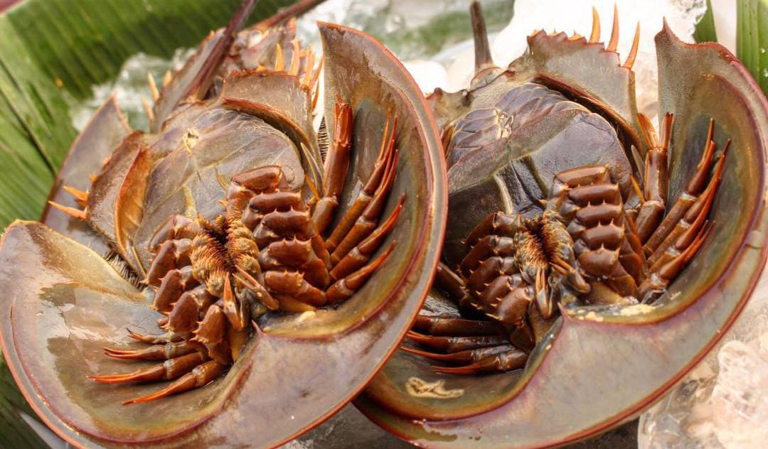 Необычные блюда Таиланда