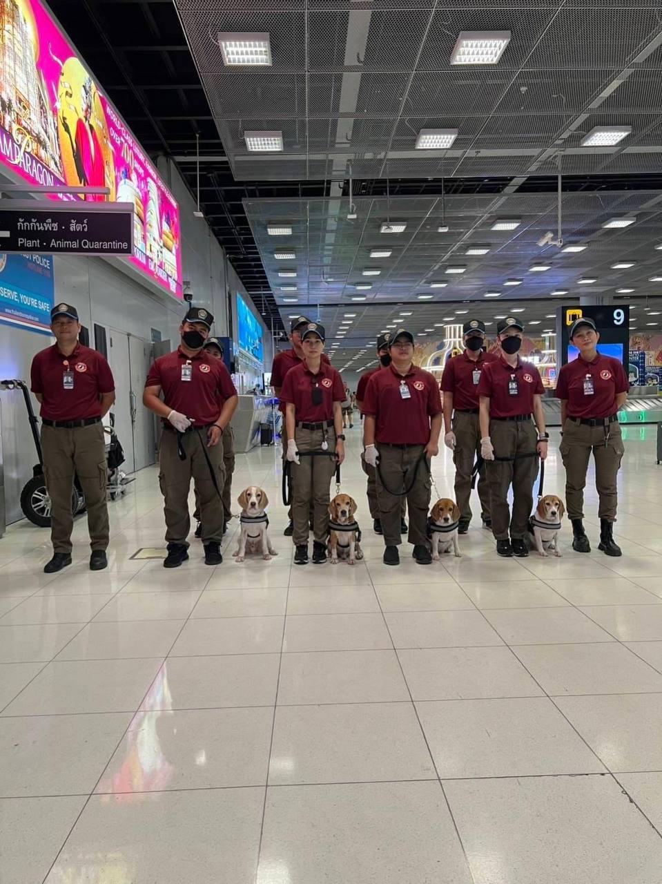 Правила ввоза продуктов в Таиланд