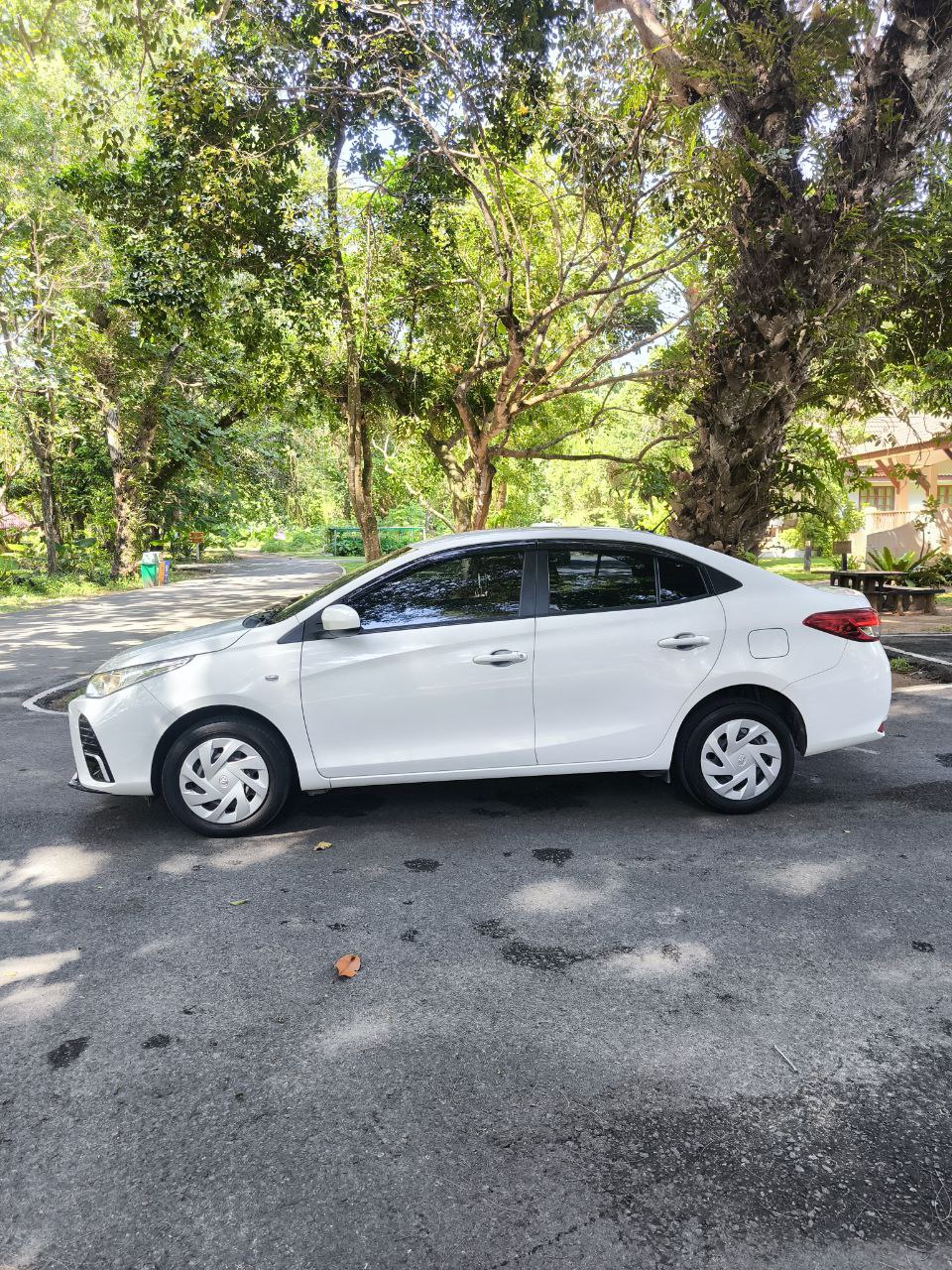 Доска объявлений в Таиланде