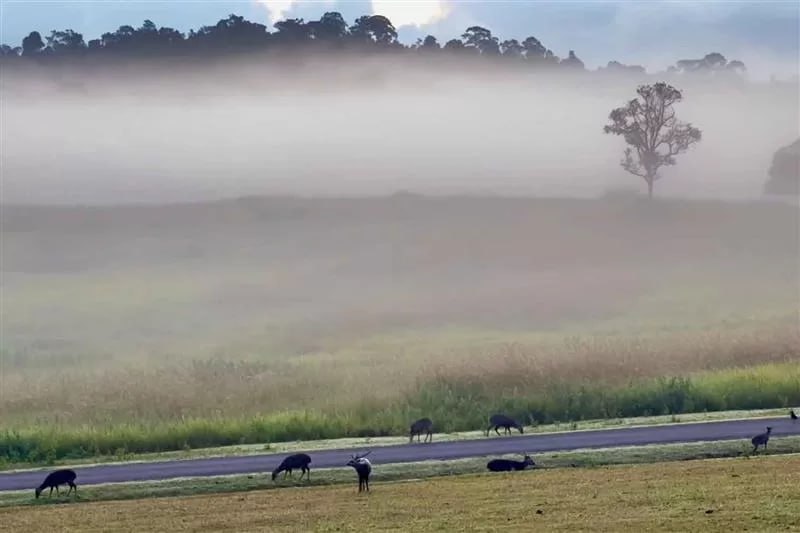 Прогноз погоды в Таиланде на неделю