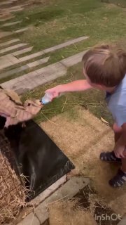 Няня на Пхукете с опытом