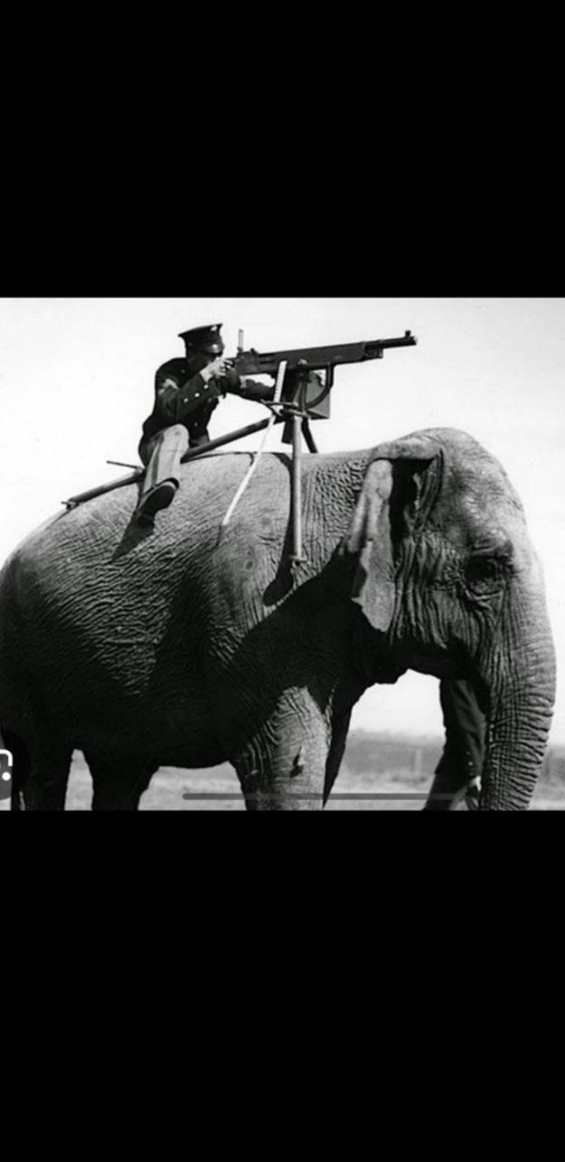 Услуги по водительскому удостоверению