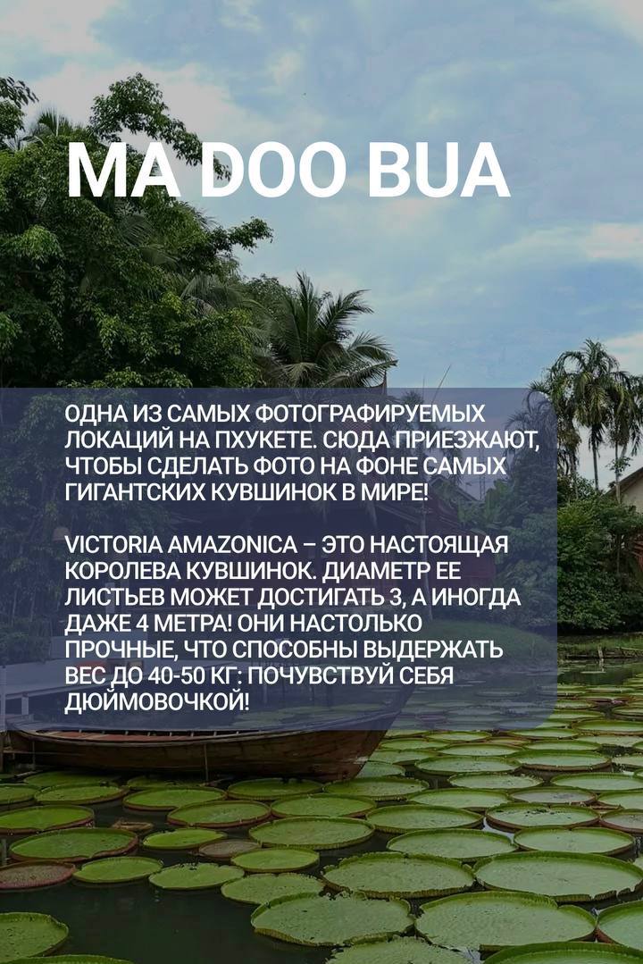 Доска объявлений в Таиланде