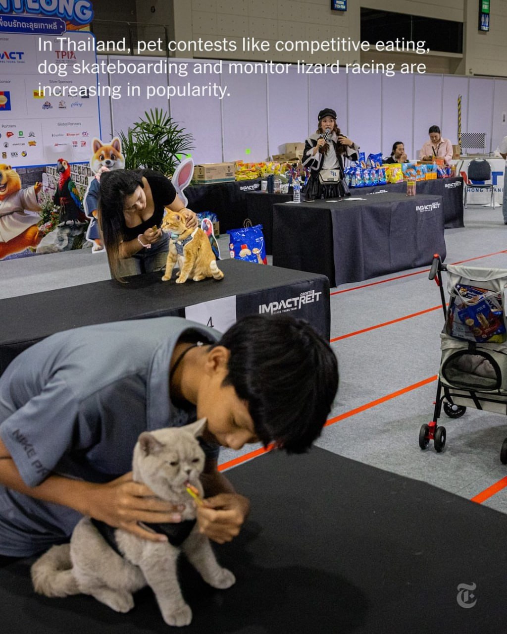 Чемпионат поедания корма в Таиланде