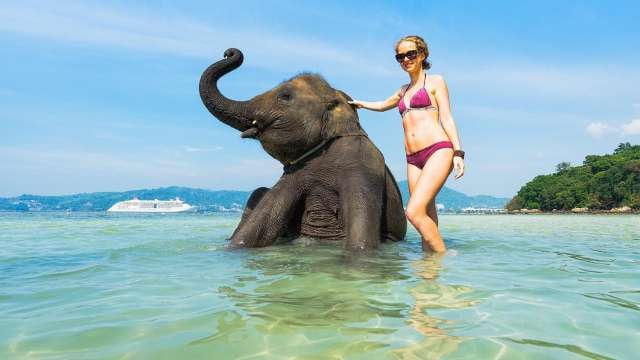 Уникальный тур со слонами в Пхукете