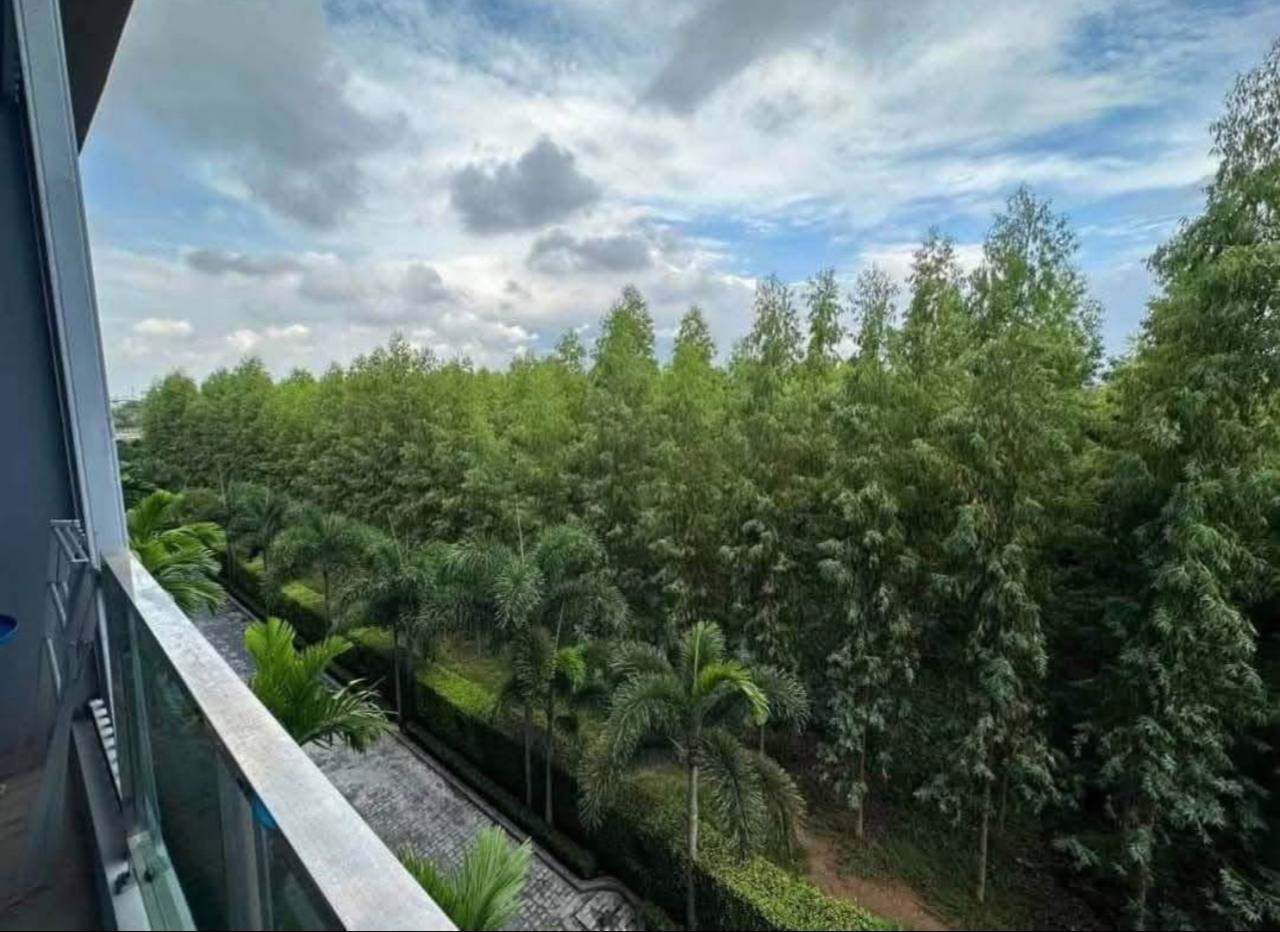 Доска объявлений в Таиланде