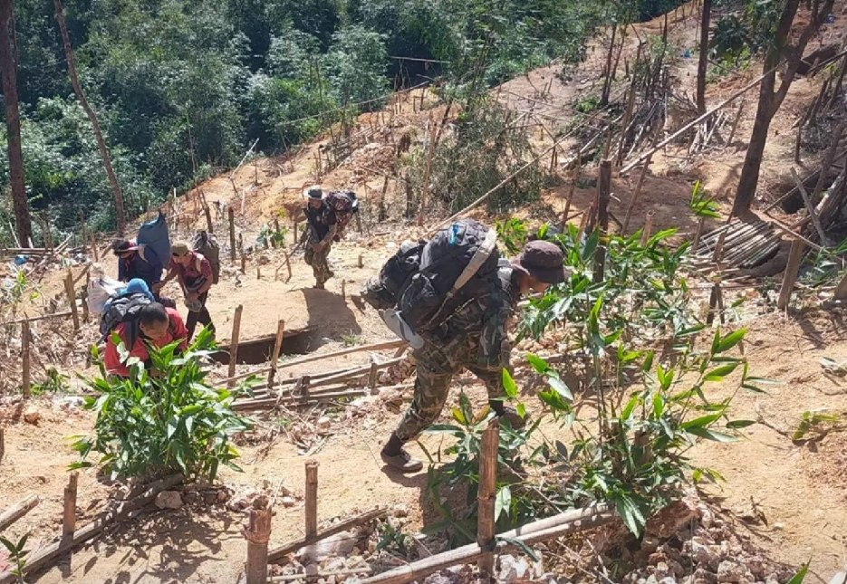 Нелегальные золотодобытчики задержаны в Таиланде