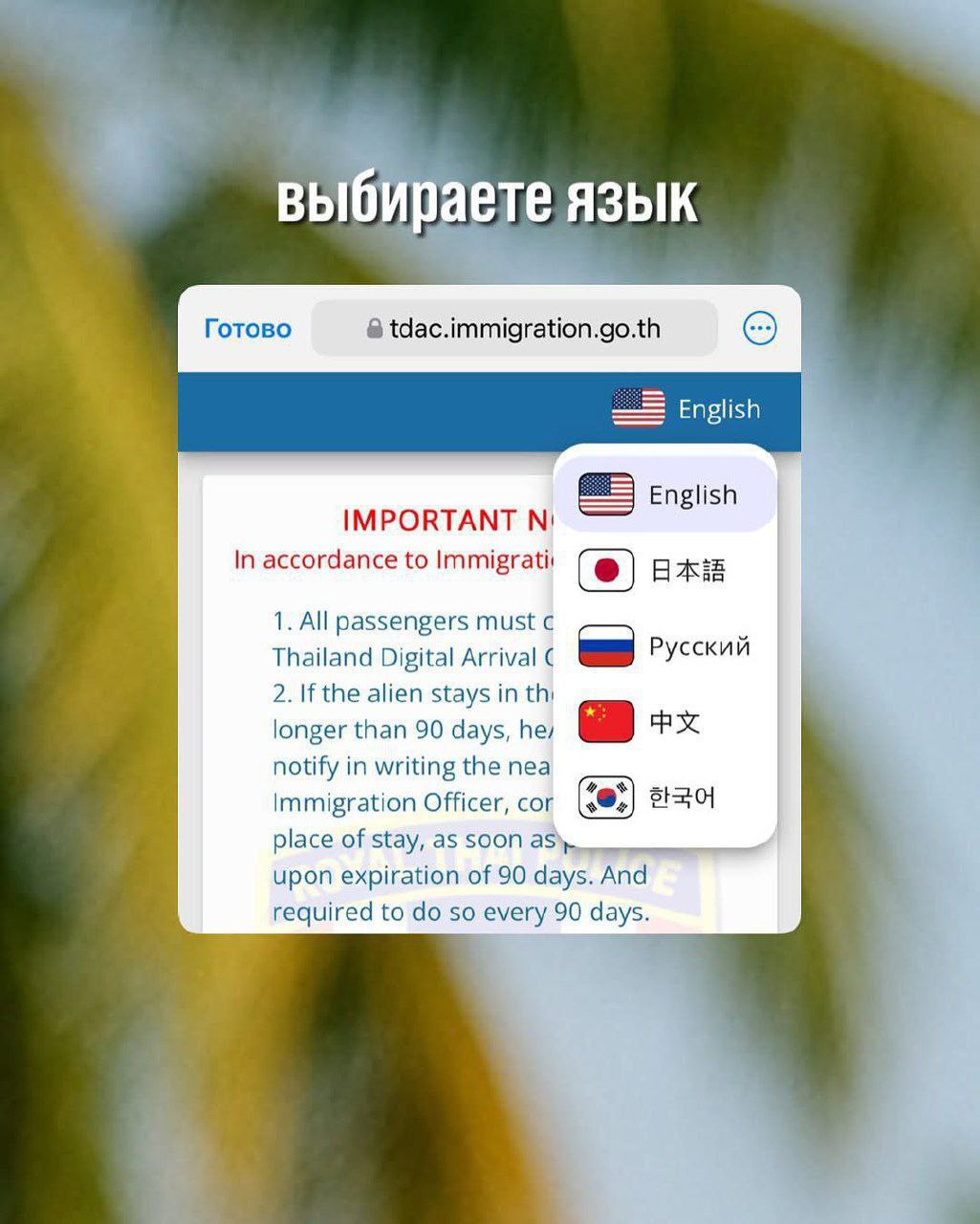 Электронная форма для въезда в Таиланд