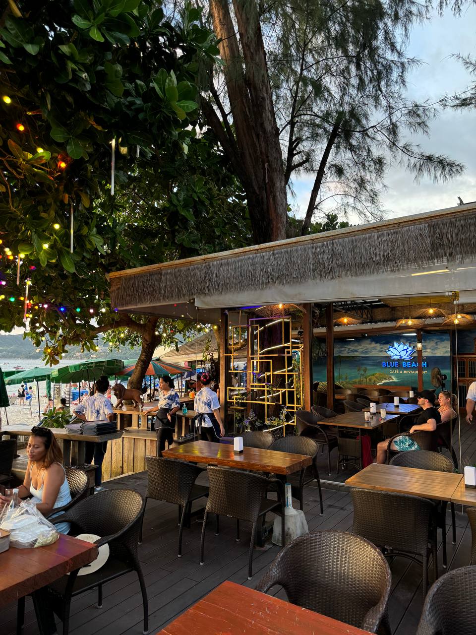 Доска объявлений в Таиланде