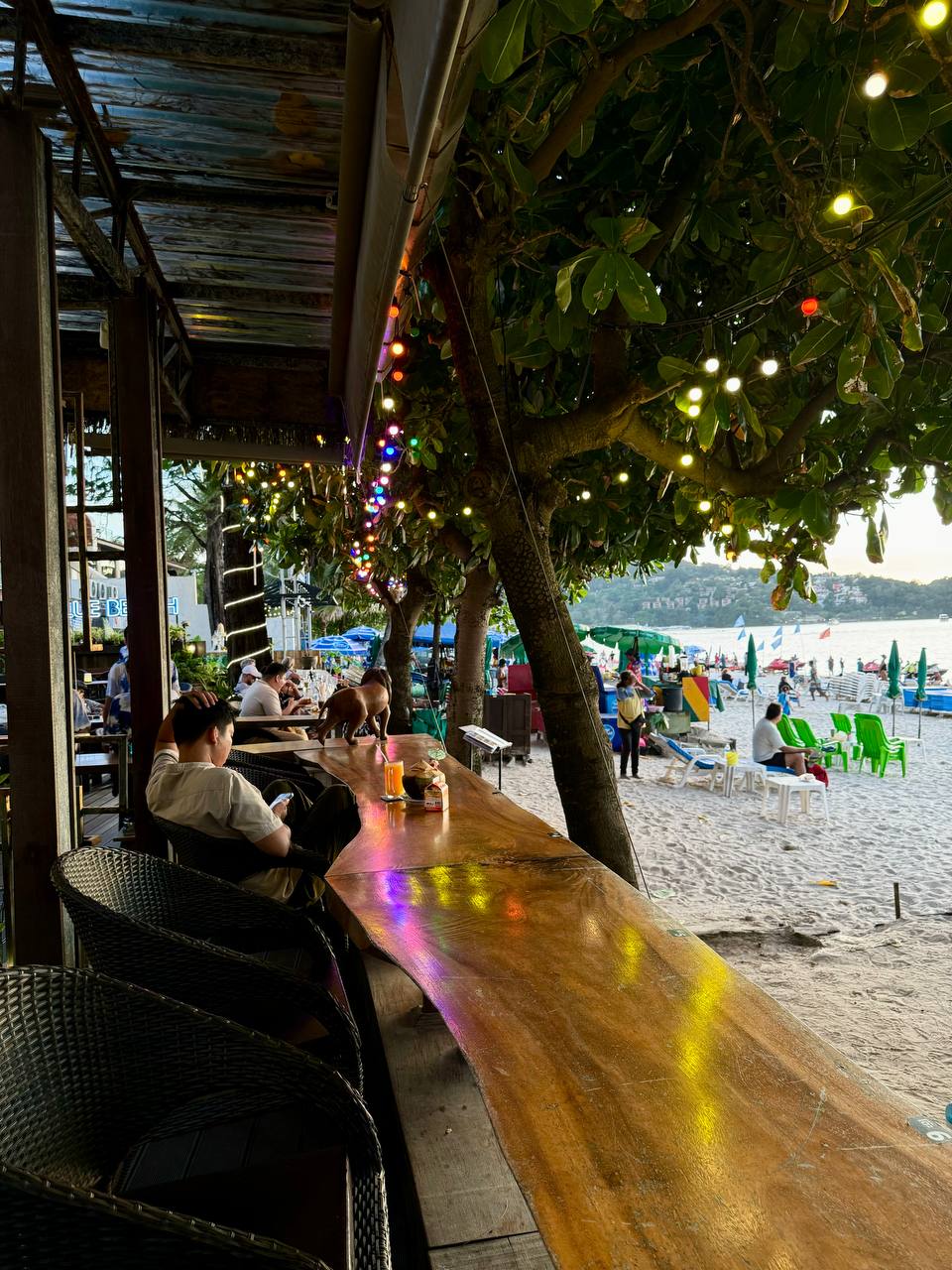 Доска объявлений в Таиланде