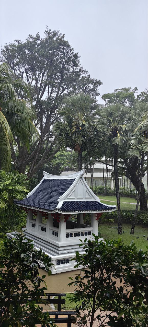 Этикет и поведение в общественных местах