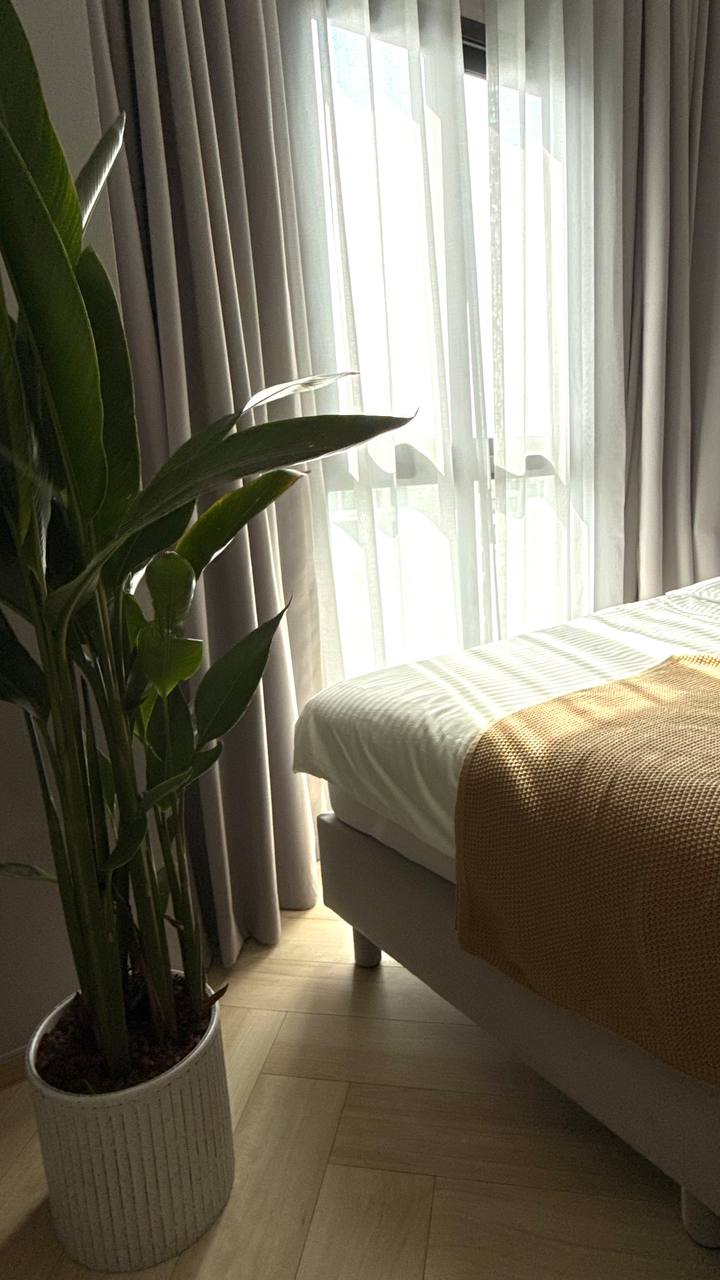 Аренда и продажа квартиры