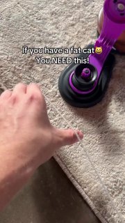 Интерактивная игрушка для котов