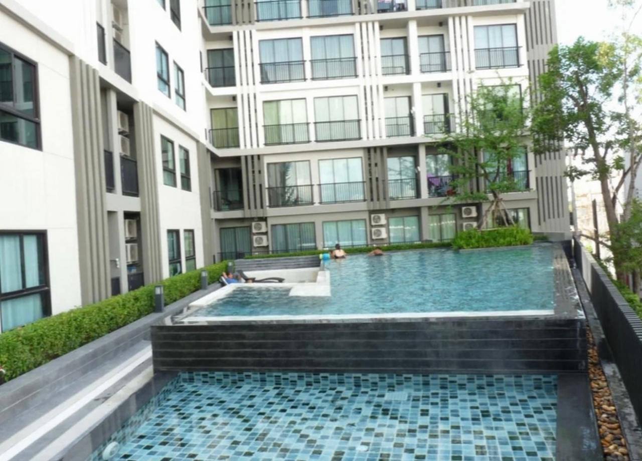 Аренда апартаментов с видом на зелень