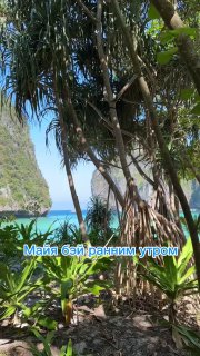 Туристическая программа на Пхи Пхи