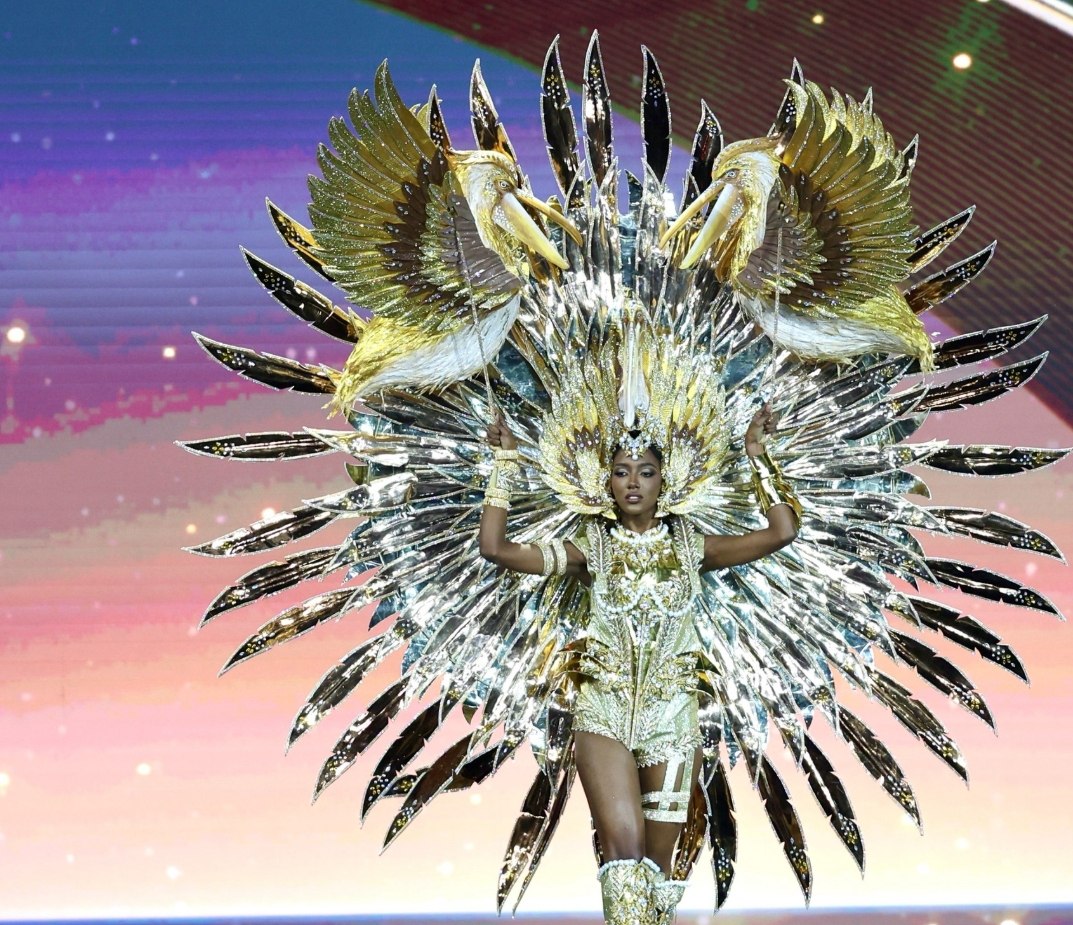 Зрелище на конкурсе 'Мисс Вселенная'