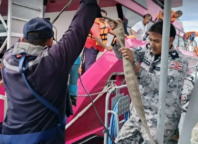 ЧП на туристическом корабле