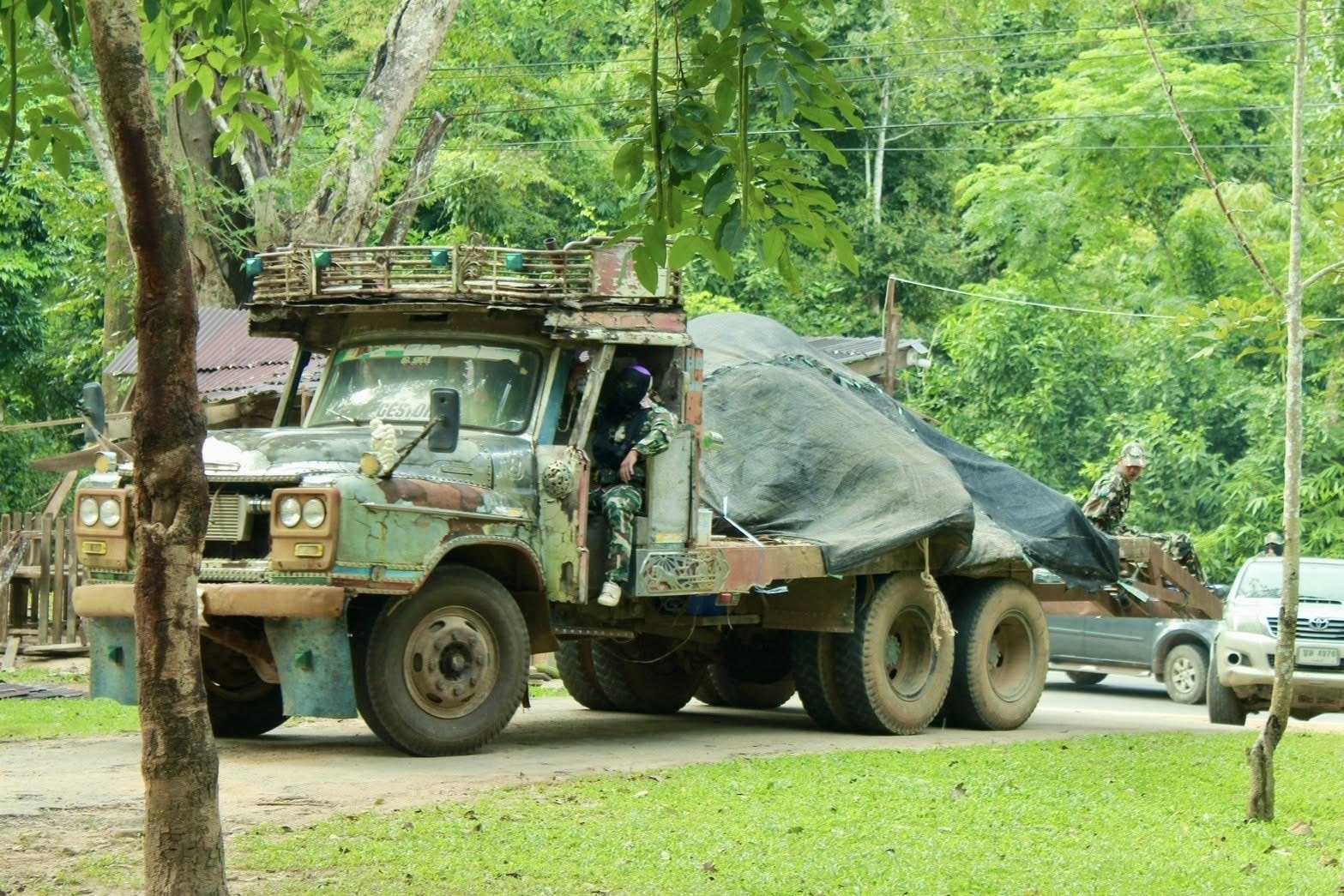 Трагедия в Кенг Крачан: слон погиб