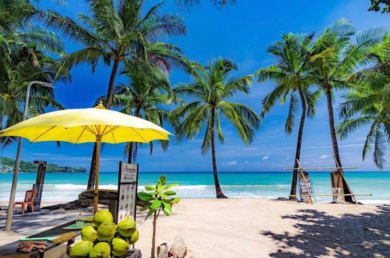 Аренда стильных апартаментов в Камале