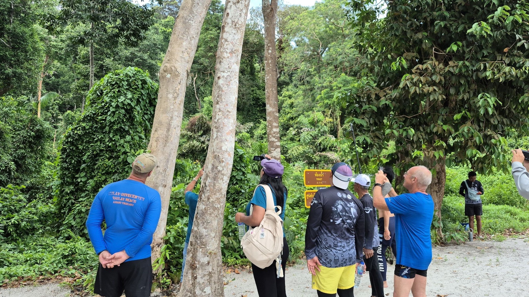 Редкий лемур замечен у острова Аданг-Рави