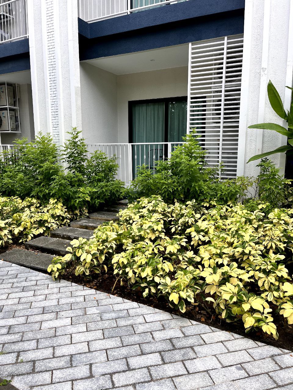 Новые апартаменты в комплексе возле пляжа