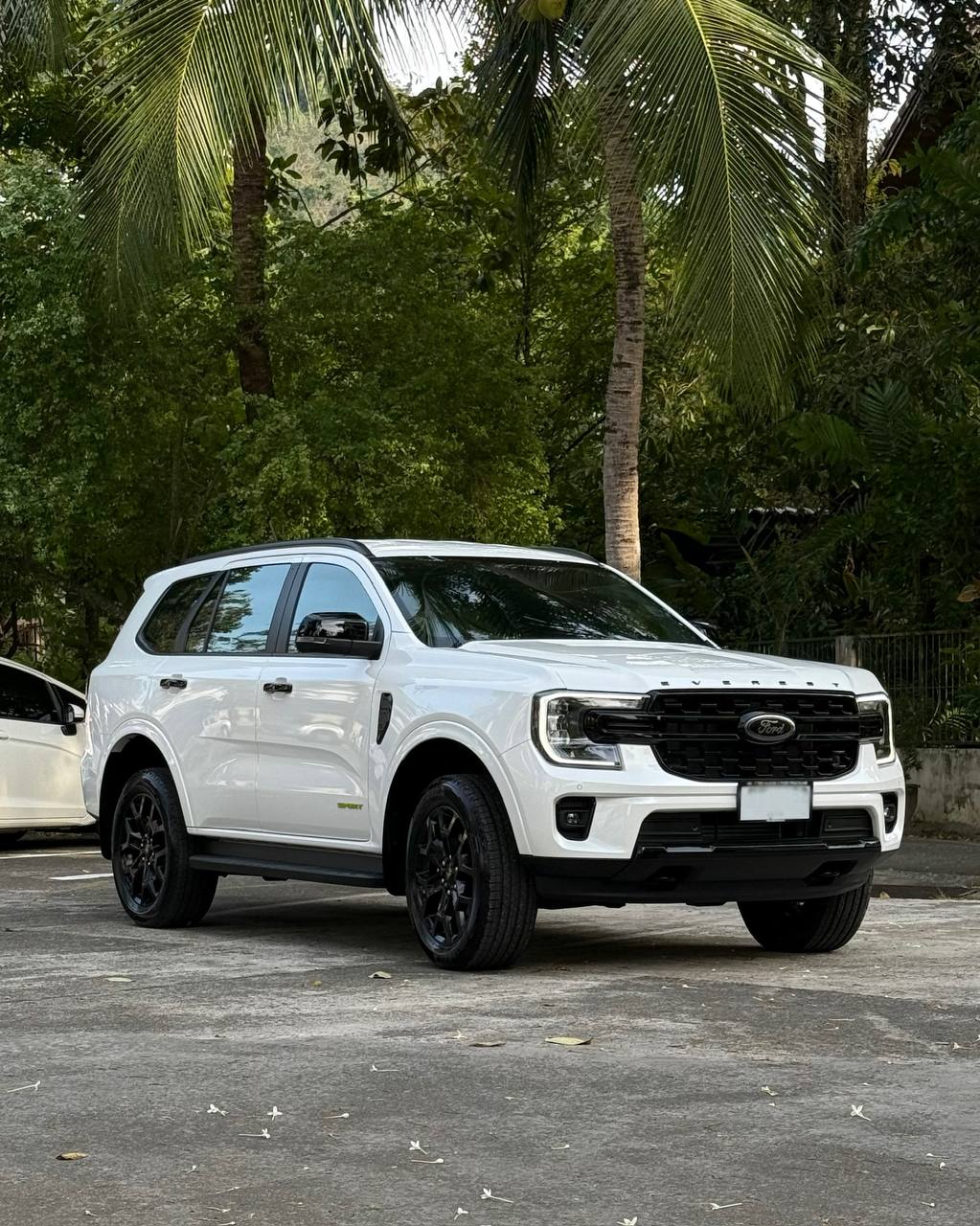 Бронирование автомобилей на декабрь и январь