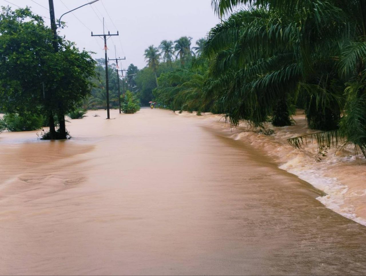 Доска объявлений в Таиланде