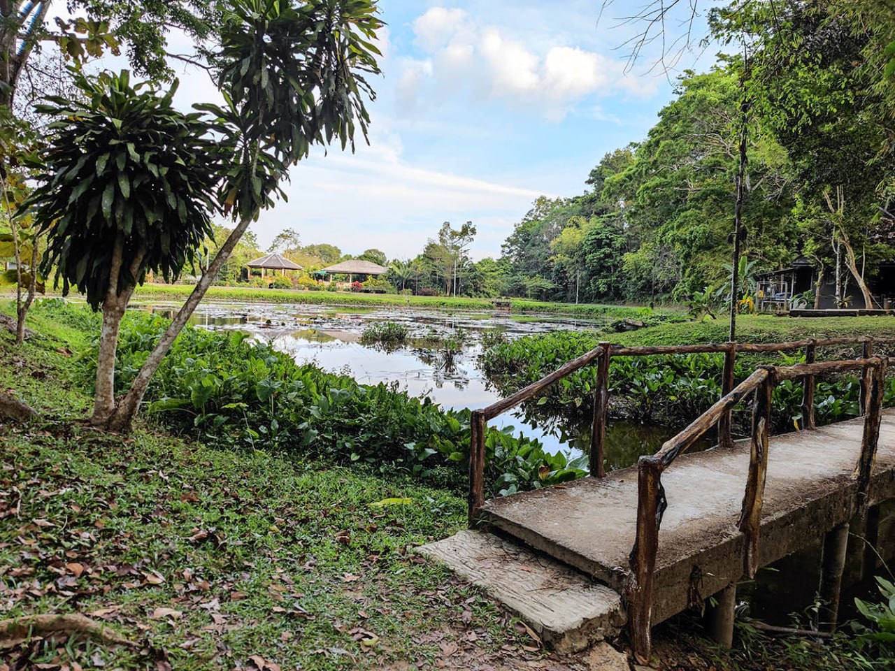 Путешествие к водопадам на Пхукете