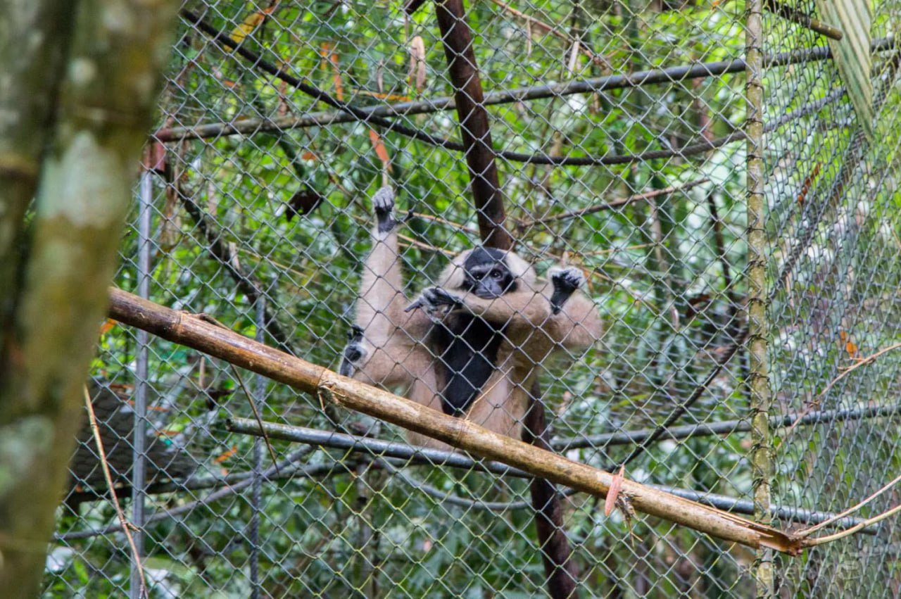 Путешествие к водопадам на Пхукете